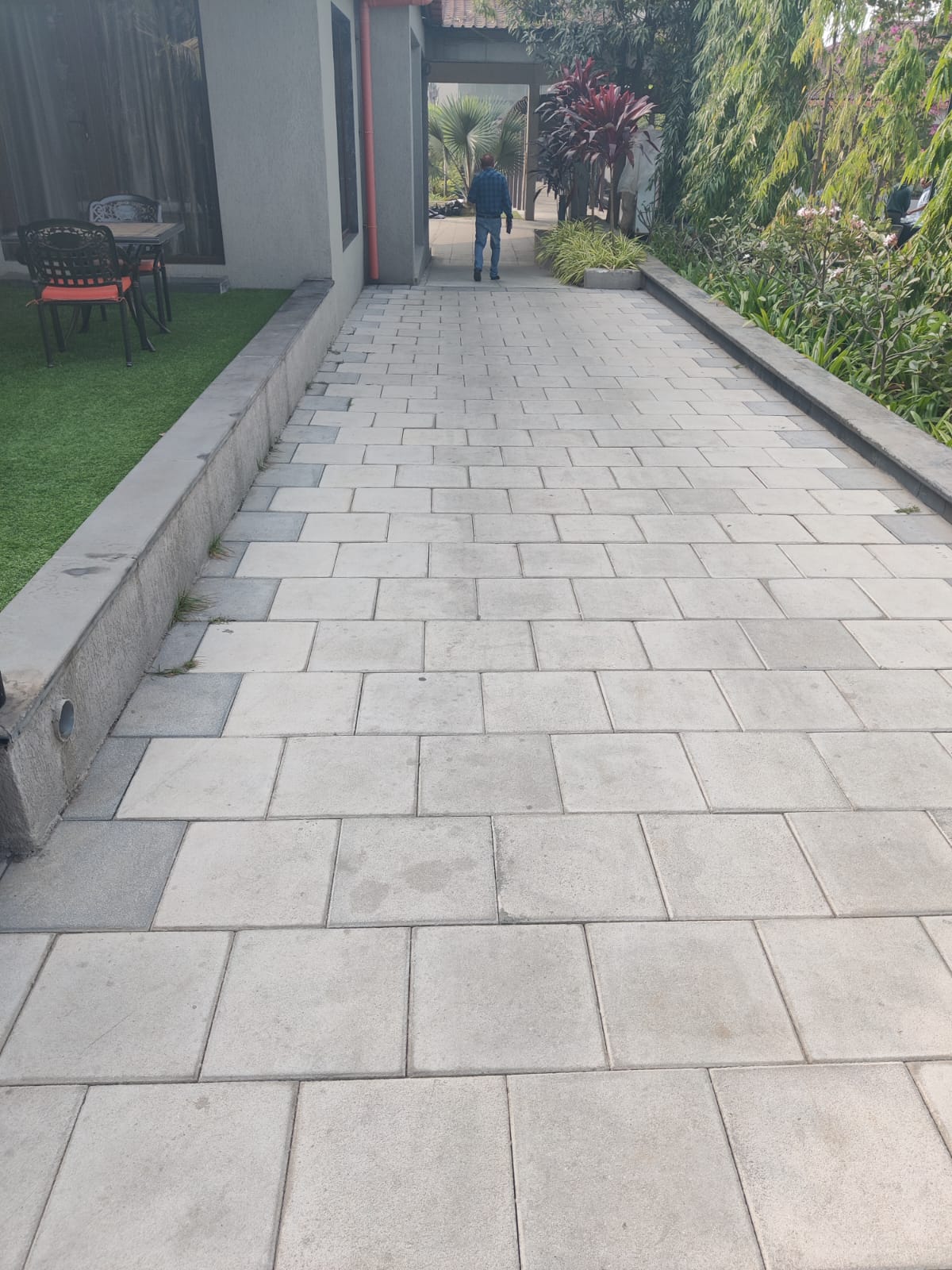 Image 14
